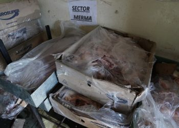 Decomisan una tonelada de carne en mal estado en Villa Alemana