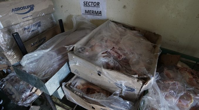 Decomisan una tonelada de carne en mal estado en Villa Alemana