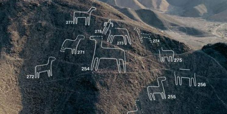 Científicos descubren 168 nuevas figuras en Nazca