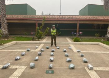 Decomisan 24 kilos de marihuana en control de ruta en Petorca