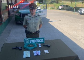Carabineros decomisa armas de fuego durante procedimiento de VIF