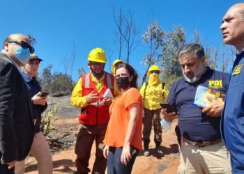 PDI y Fiscalía visitan lugar donde habría iniciado incendio en Viña del Mar