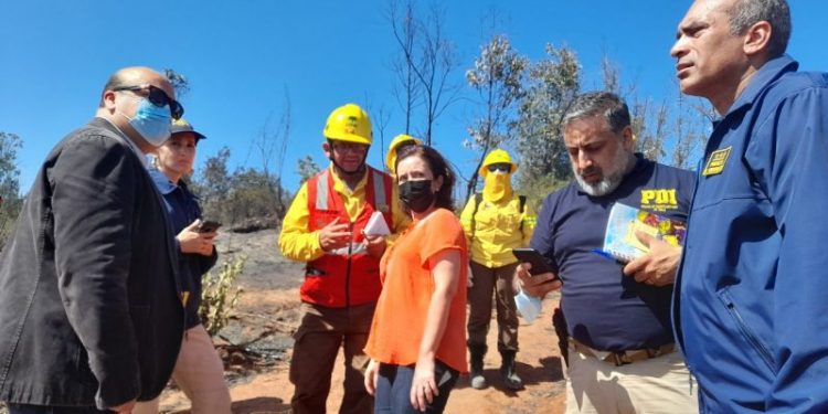 PDI y Fiscalía visitan lugar donde habría iniciado incendio en Viña del Mar