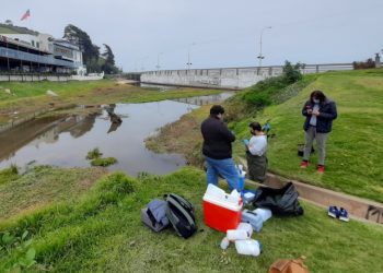 Revelan índices de contaminación por sobre la norma en Estero de Reñaca