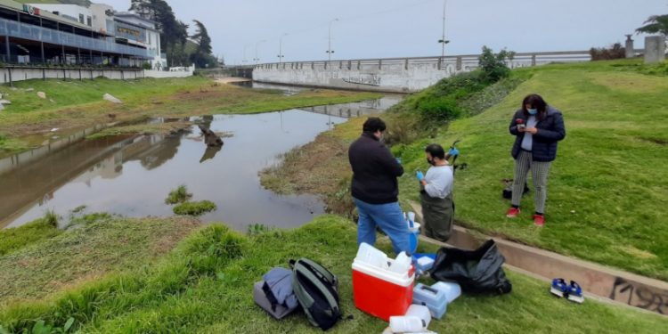Revelan índices de contaminación por sobre la norma en Estero de Reñaca