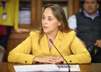 Diputada Morales exige al Gobierno medidas para enfrentar alza de alimentos