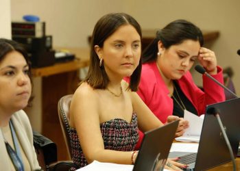 Diputada Musante: “Mi voto no está disponible para ninguna candidatura del comité de expertos”