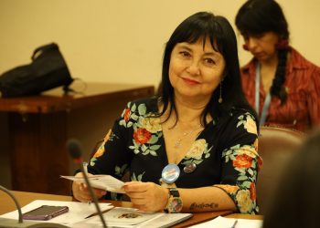 Diputada Marzán (PPD) crea mesa de trabajo para gestionar demandas animalistas