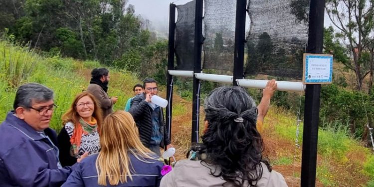 Vecinos de Playa Ancha instalan atrapanieblas para estudio de eficiencia hídrica
