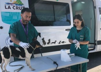 La Cruz: Clínica veterinaria móvil gratuita recorre la comuna para prestar asistencia