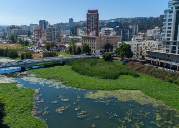 Viña del Mar: Municipio inicia proceso de recuperación del humedal de Estero Marga Marga
