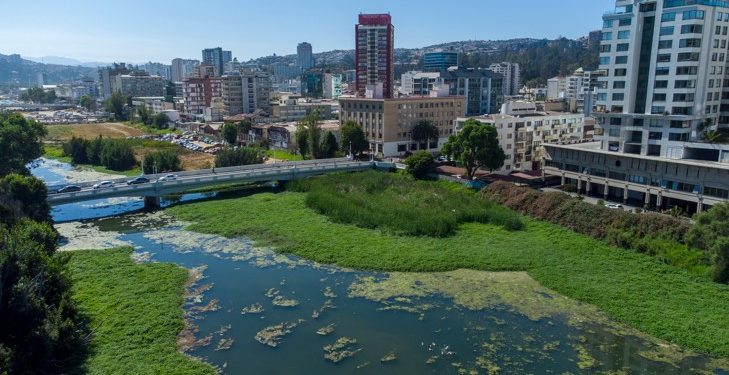 Viña del Mar: Municipio inicia proceso de recuperación del humedal de Estero Marga Marga