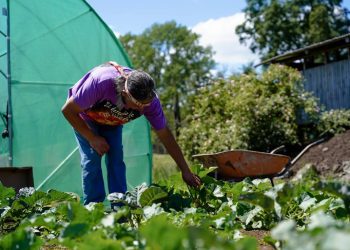 INDAP incorpora mejoras a Programa Prodesal que beneficiará a más de 68 mil agricultores
