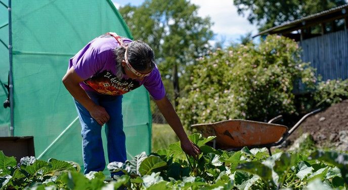 INDAP incorpora mejoras a Programa Prodesal que beneficiará a más de 68 mil agricultores