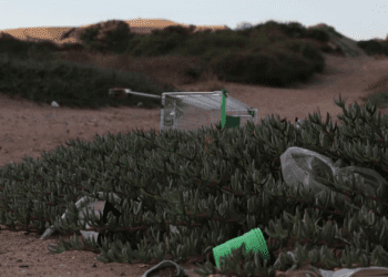 Denuncian que Dunas de Concón quedaron llenas de basura después de año nuevo