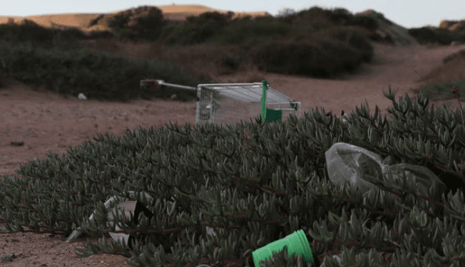 Denuncian que Dunas de Concón quedaron llenas de basura después de año nuevo