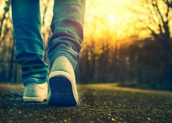 Crean el Servicio Nacional de Reinserción Social Juvenil