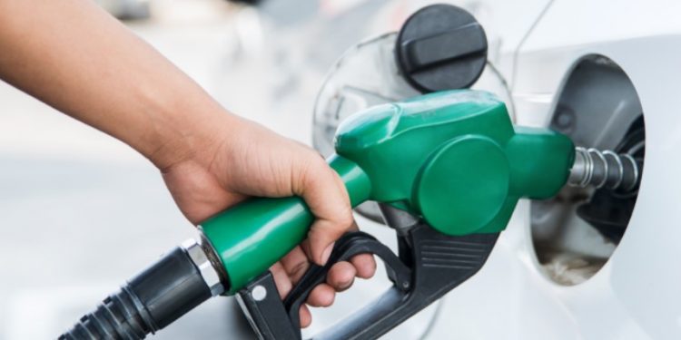 Variaciones de precios de las bencinas y el diésel se comunicarán cada tres semanas