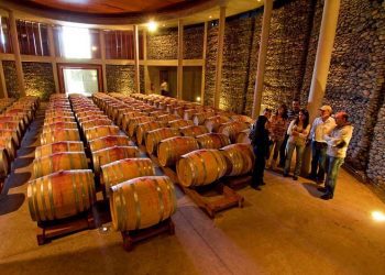 9 viñas y diversos restaurantes integran la oferta turística del valle de Casablanca este verano