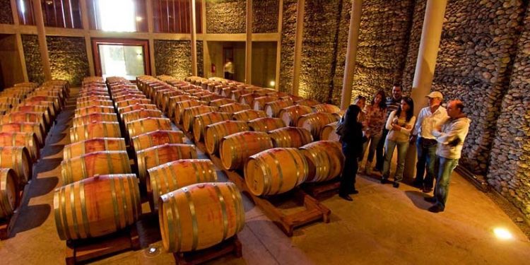 9 viñas y diversos restaurantes integran la oferta turística del valle de Casablanca este verano