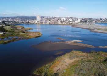 Concón realizará Feria Medioambiental Parque Ecológico La Isla