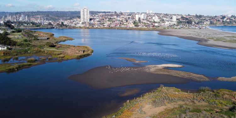 Concón realizará Feria Medioambiental Parque Ecológico La Isla
