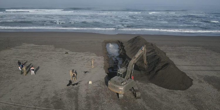 Realizan obras de desembancamiento de la desembocadura del Río Maipo