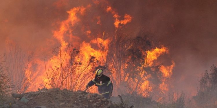 Ocho personas pasaron por control de detención debido a incendios en el sur