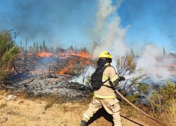 Incendio en regiones del Bio Bio y Ñuble deja cuatro fallecidos