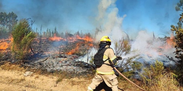 Incendio en regiones del Bio Bio y Ñuble deja cuatro fallecidos