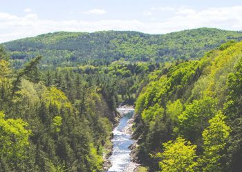 Senadora Allende: «Debemos avanzar hacia una gestión integrada de cuencas»