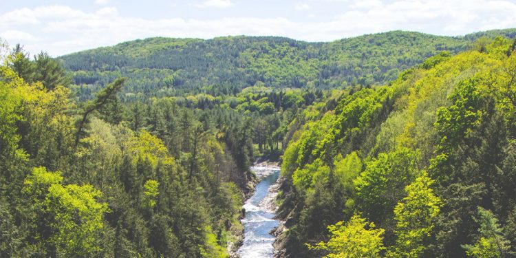 Senadora Allende: «Debemos avanzar hacia una gestión integrada de cuencas»