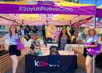 Emprendedoras viñamarinas mostrarán sus trabajos en Playa del Deporte