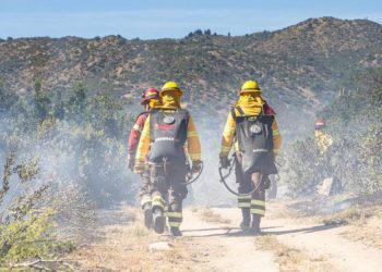 Gobierno Regional de Valparaíso entregará 100 millones de pesos a Conaf