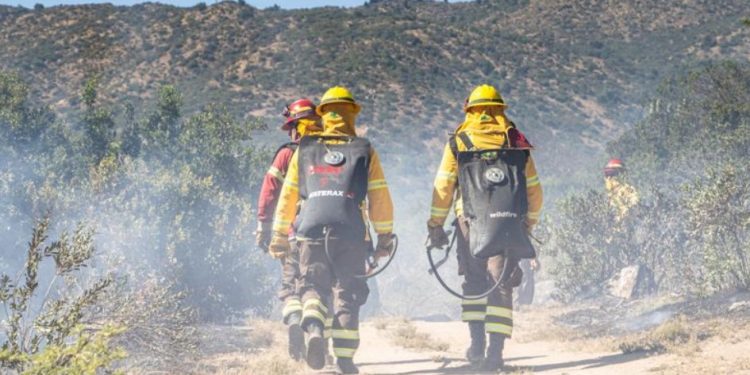 Gobierno Regional de Valparaíso entregará 100 millones de pesos a Conaf