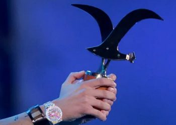 Concejal Puebla pide evaluar el término anticipado de concesión del Festival de Viña