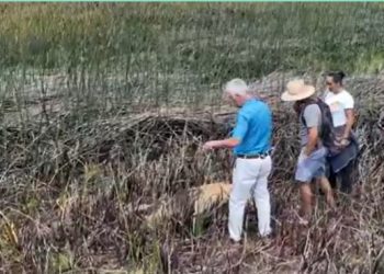 Descubren nuevo Moai en Isla de Pascua: Estaba sumergido en un lago