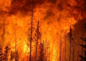 Organismos internacionales donan 450 mil dólares para combatir incendios