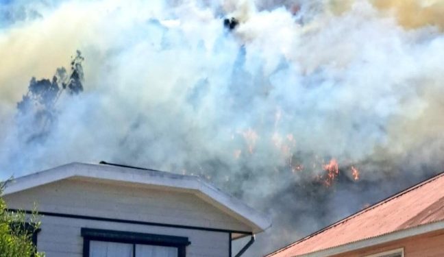 Ciudadano belga muere por incendios en el sur de Chile