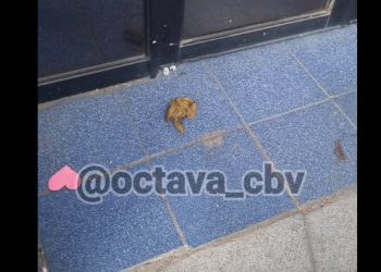 [Video] Bomberos de Valparaíso denuncia a personas por defecar fuera de su cuartel