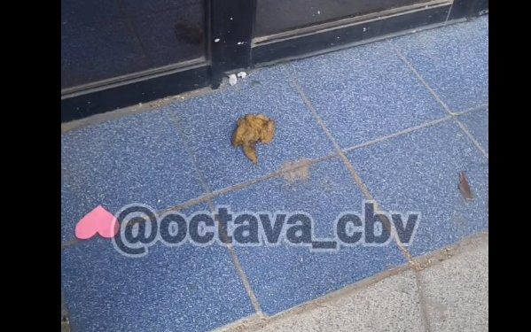 [Video] Bomberos de Valparaíso denuncia a personas por defecar fuera de su cuartel