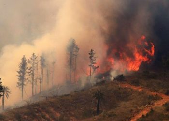Gobierno también declara Estado de Catástrofe en la Araucanía