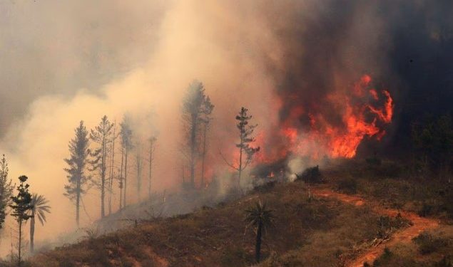 Gobierno también declara Estado de Catástrofe en la Araucanía