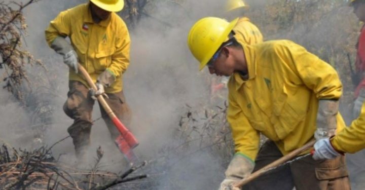 Brigadista fallece tras caída de árbol durante combate de incendios