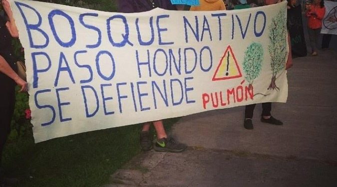 Organizaciones ambientales manifiestan la urgencia de cuidar ecosistemas