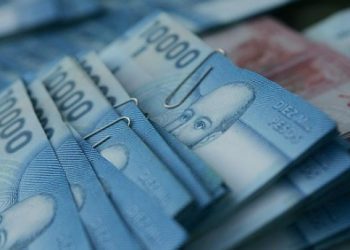 Revisa los bonos que tiene disponible el Instituto de Previsión Social