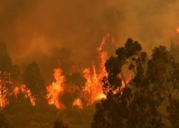 Declaran alerta temprana preventiva por amenaza de incendio forestal en la región