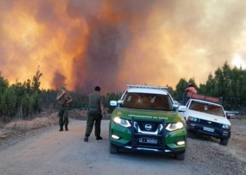 Carabineros ha detenido a 31 personas por presunta responsabilidad en incendios