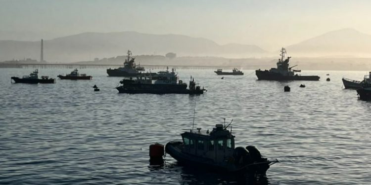 Pescador de 62 años muere en Papudo tras volcarse su embarcación