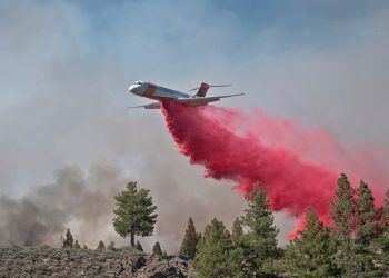 Familia Luksic trae al Aero Tanker a Chile para combatir incendios en el sur